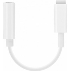 Qihang QH-M29 Lightning Male to 3.5mm Female Converter - Color: White