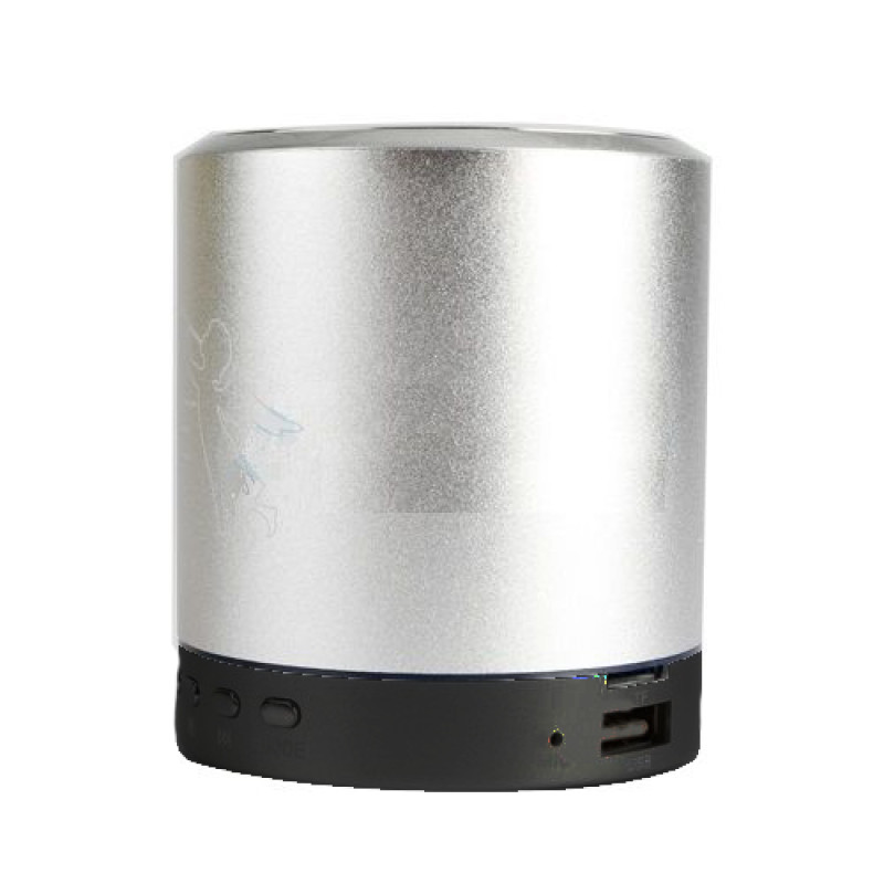 Φορητό Μίνι Bluetooth Ηχείο T-2020 5W - Χρώμα: Ασημί