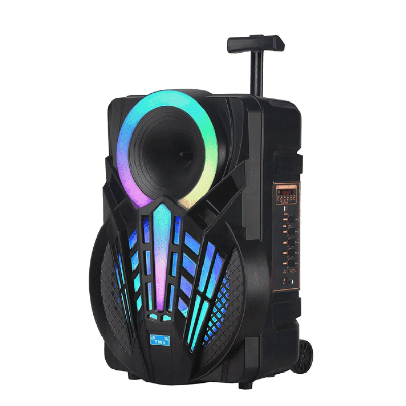 PZX GZ-P12 Ασύρματο Bluetooth Φορητό Ηχείο - Wireless Portable Speaker 12" - Χρώμα: Μαύρο