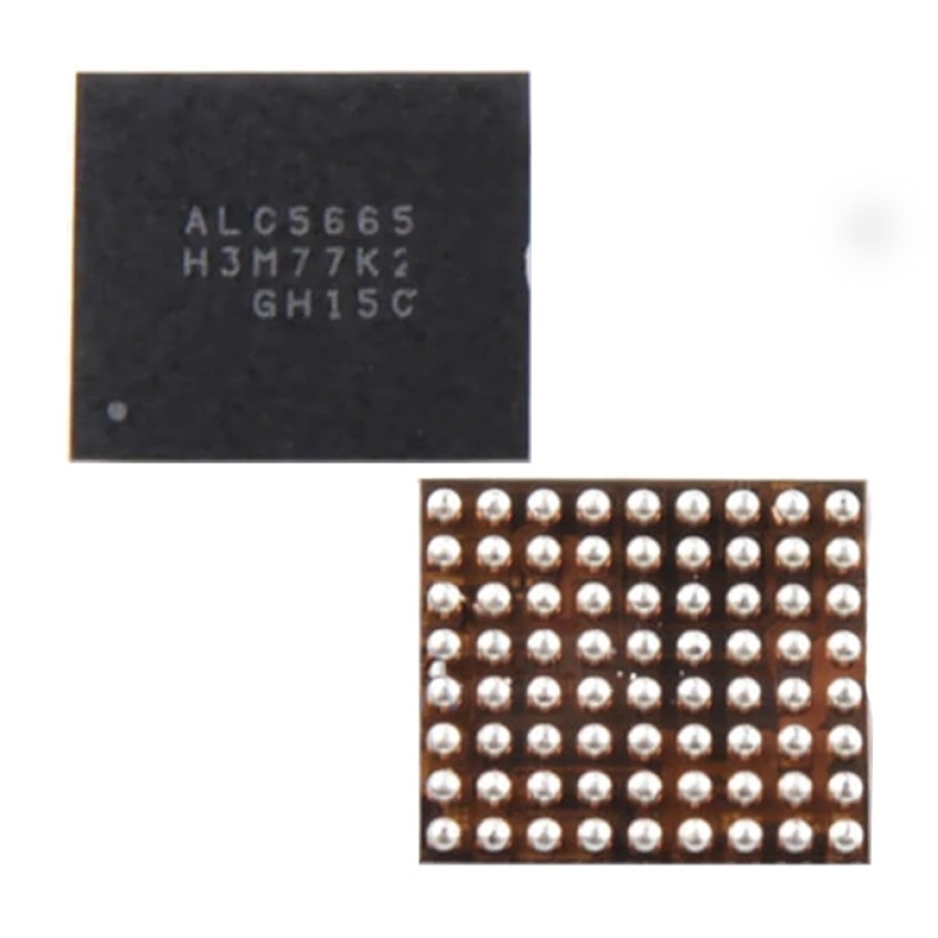 Τσιπάκι Audio IC (ALC5665)